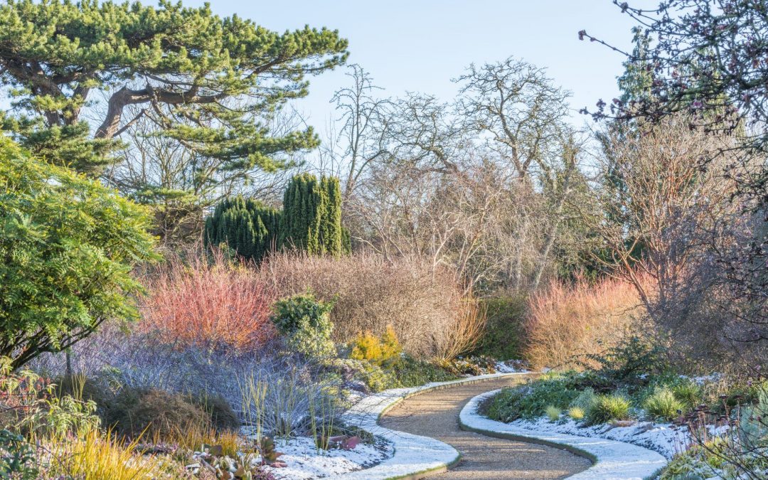 Nos conseils pour l’entretien de votre jardin en hiver